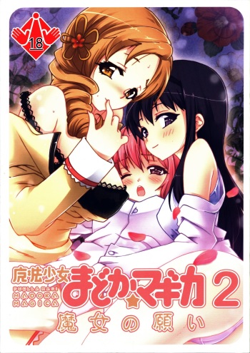 Witch's Wish cover