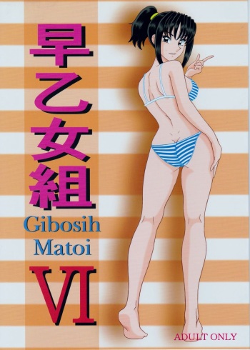 Saotome-gumi VI cover