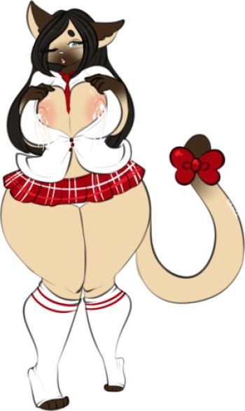 We Are Siamese If You Please cover