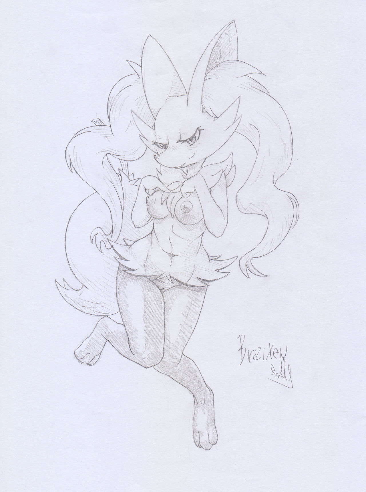 Braixen Pack page 3 full