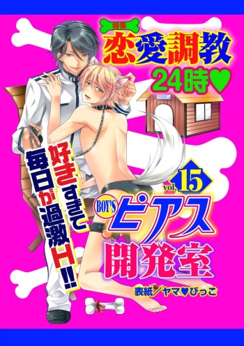 BOY'S Pierce Kaihatsu Shitsu vol.15 Renai Choukyou 24ji cover