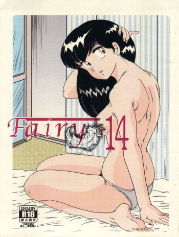 Fairy 14 cover