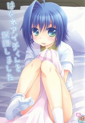 Hagure Aichi-kun o Hogo Shimashita cover