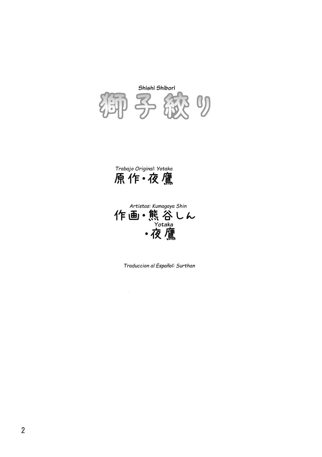Shishi Shibori page 3 full