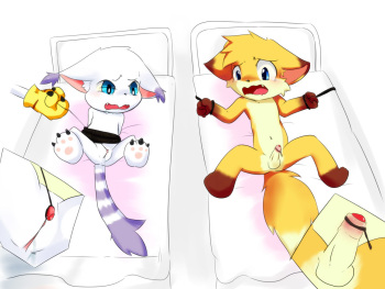Furry Circumcision cover