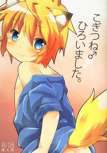 Kogitsune Hiroimashita. cover