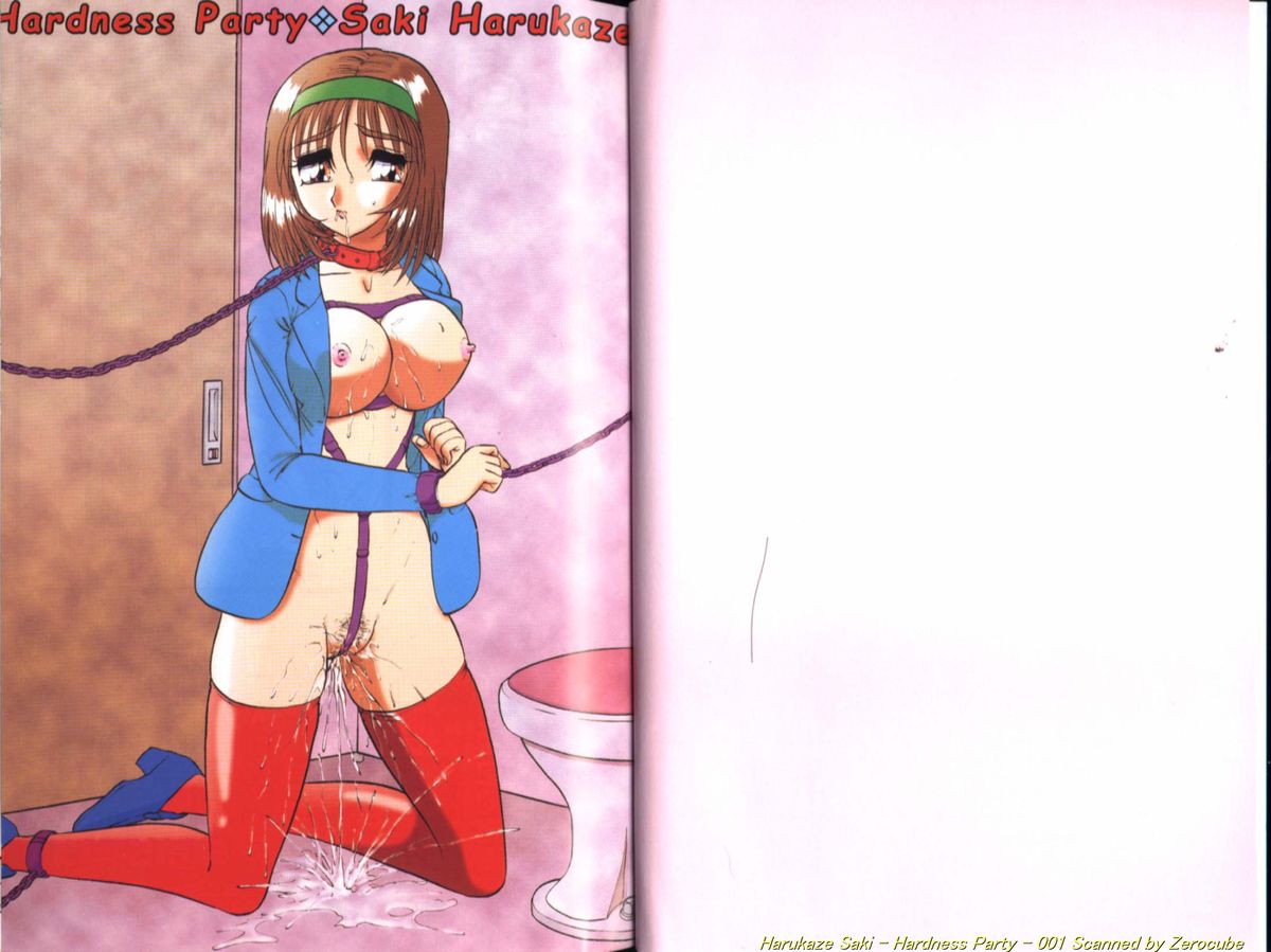 Seien ~Hardness Party~ page 2 full