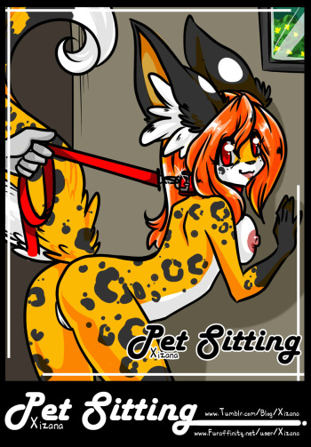 Pet Sitting cover