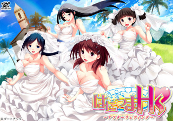 Hanitsuma Hs ~After Wedding~ cover