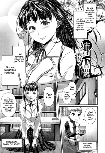 Ane wa Gehin ni Utsukushiku cover