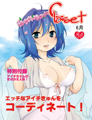 Closet cover