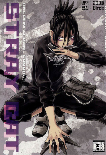 stray cat cover