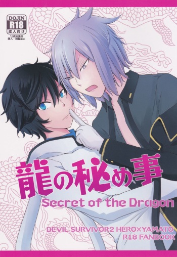 Ryuu no Himegoto cover