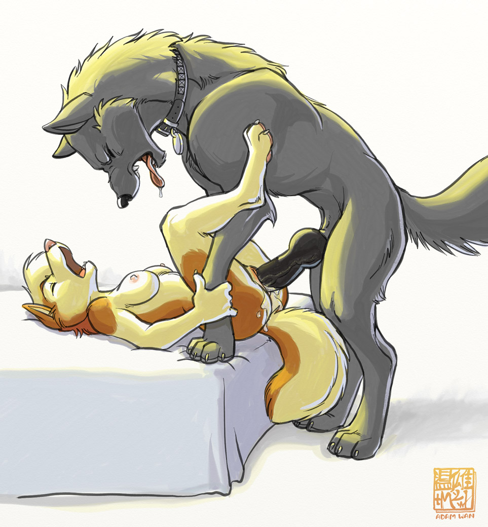 Random furry pictures page 6 full