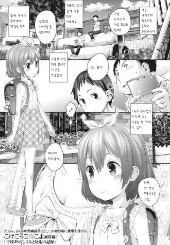 Gekou JS no Shikumi to Hannou no Kiroku cover