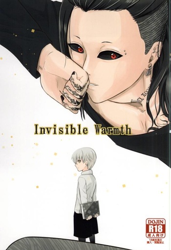 Invisible Warmth cover