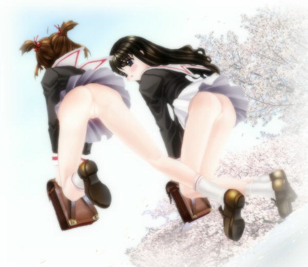 sakura to ohana to ikenai card page 1 full