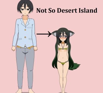 Not So Desert Island cover
