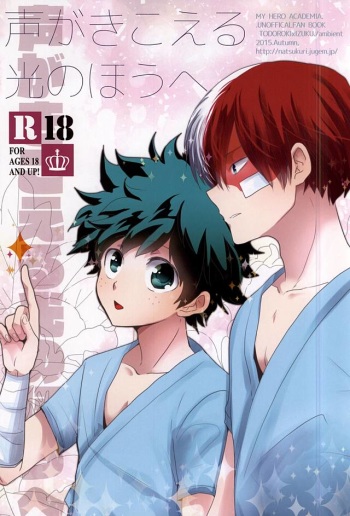 Koe ga Kikoeru Hikari no Hou e cover