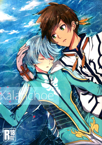 Kalanchoe cover