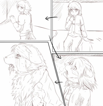 artist-狐狼助 cover