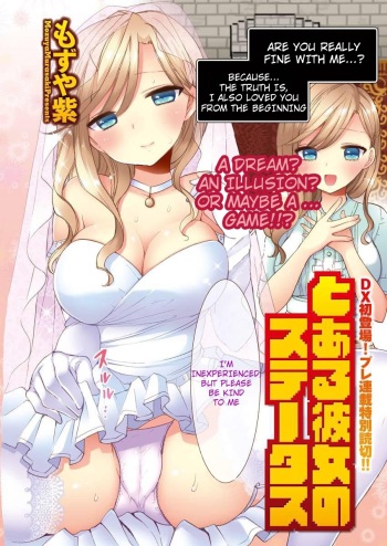 Toaru Kanojo no Status cover