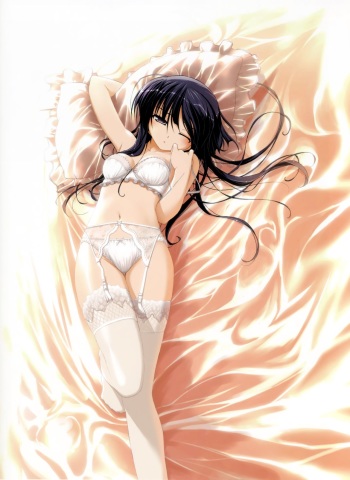 Illustrated Satin - Satin Sheets, Panties, Lingerie, Gowns... cover