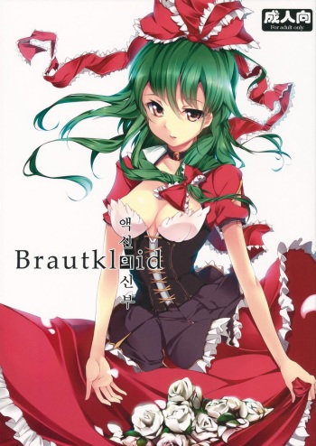 Brautkleid cover