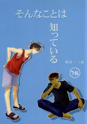 Sonna Koto wa Shitte Iru cover