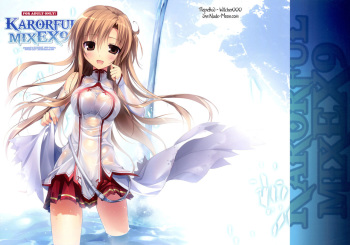 KARORFUL MIX EX9 cover