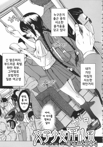 Bungaku Shoujo Inran Kei cover