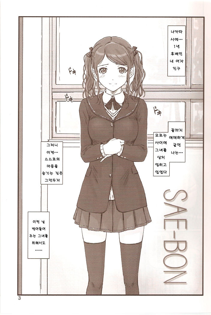 SAE-BON page 2 full