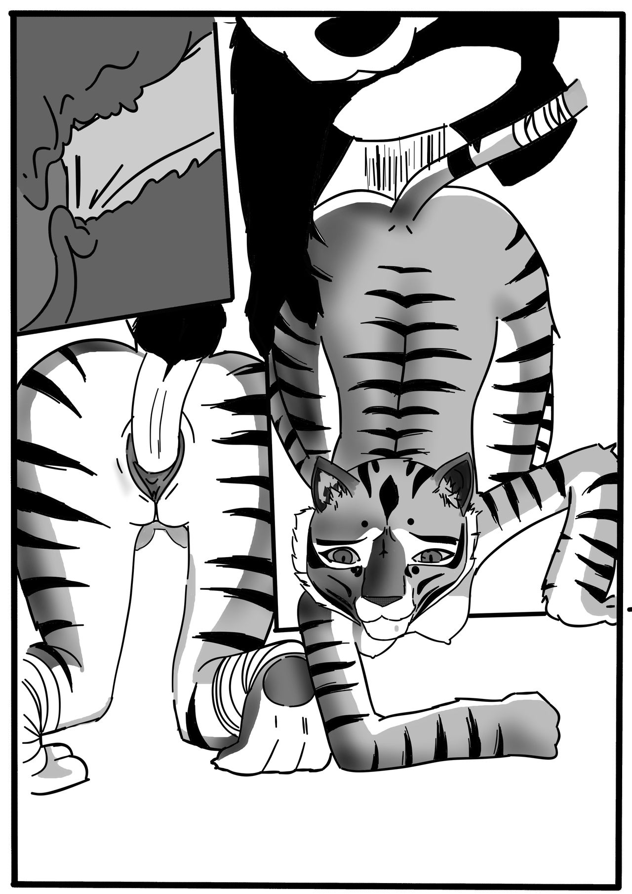 Kung Fu Panda Tigresa é Ensinada page 3 full