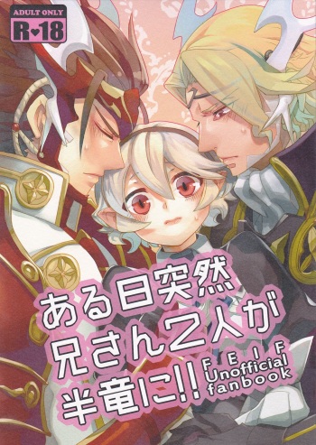 Aru Hi Totsuzen Nii-san Futari ga Hanryuu ni!! cover