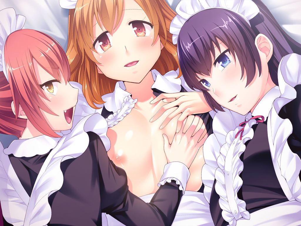 Otokonoko Harem ~Goshujin-sama Watashi-tachi no Mesu-ka Anal o Omeshi Agari Kudasai Mase~ page 2 full