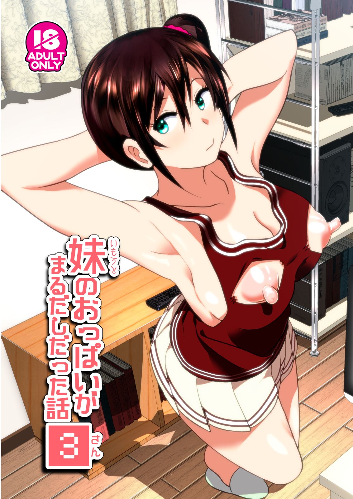 Imouto no Oppai ga Marudashi Datta Hanashi 3 | 여동생의 가슴이 드러났던 이야기 3 page 1 full