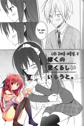 Boku no Aikurushii Imouto. 2 cover