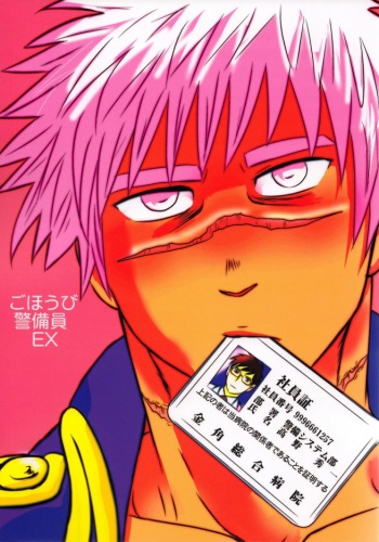 Gohoubi Keibiin EX cover