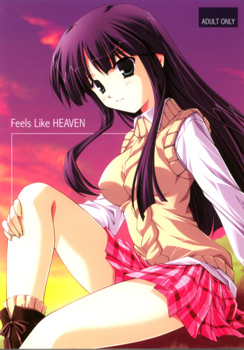 Feels like Heaven cover