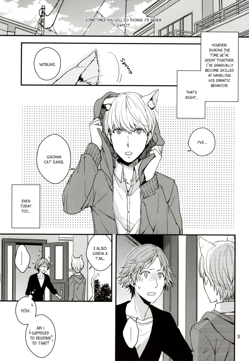 CRAZY CAT LOVER page 2 full