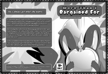 More Than I Bargained For cover