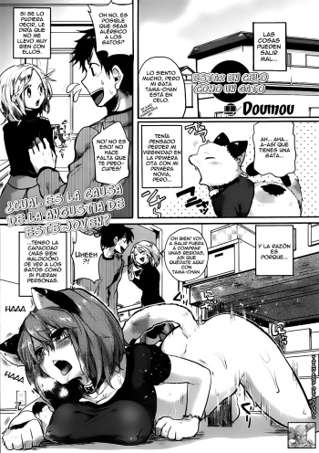 Nyanko na Hatsujouki | Going Into Heat Like a Cat cover
