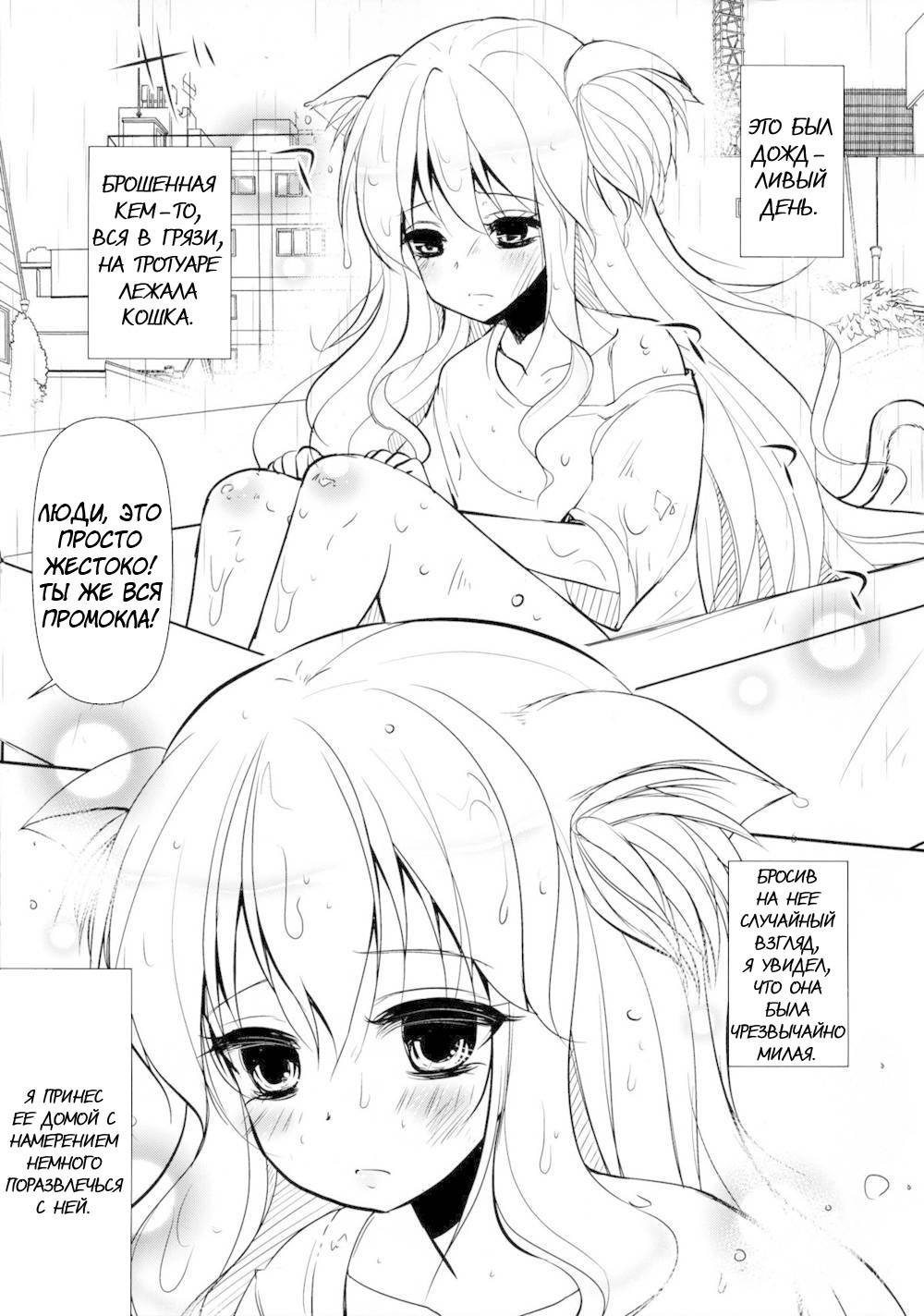 Nekomimi Josou Shounen Shiiku Nikki page 2 full
