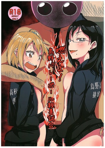 Moeyo! Karasuno Volleyball Shinzenjiai cover