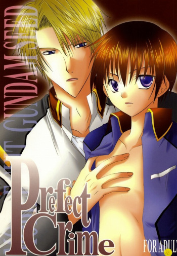Perfect Crime cover