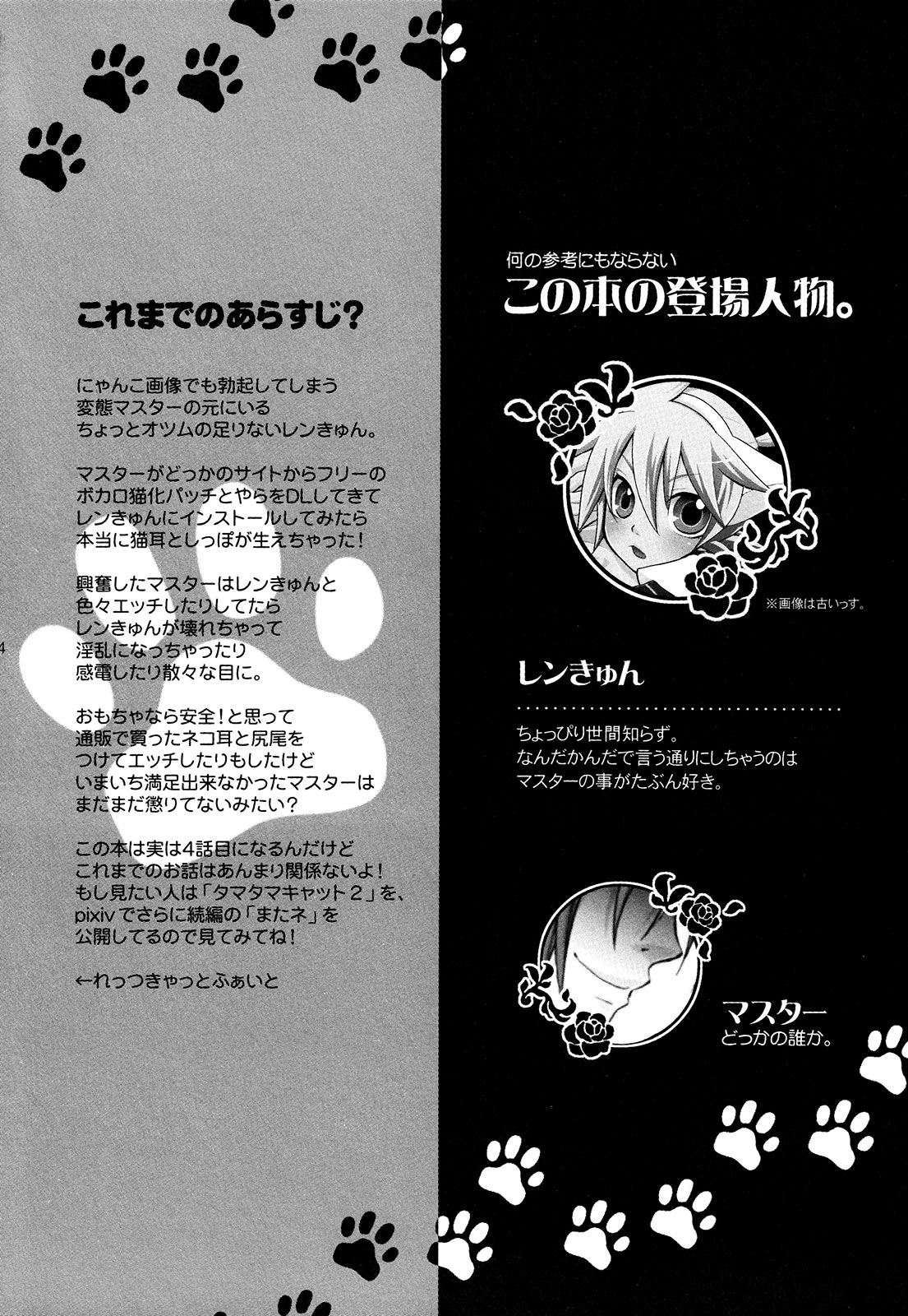 Matamata Cat page 4 full