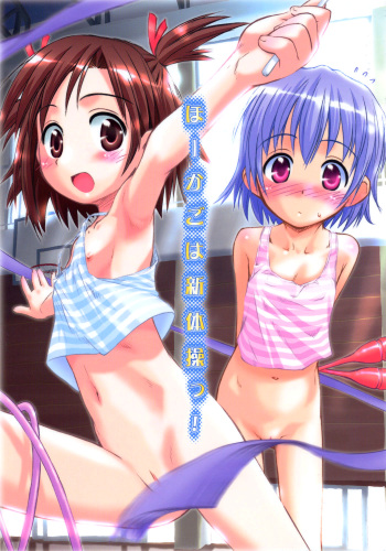 Ho-kago wa Shintaisou! cover