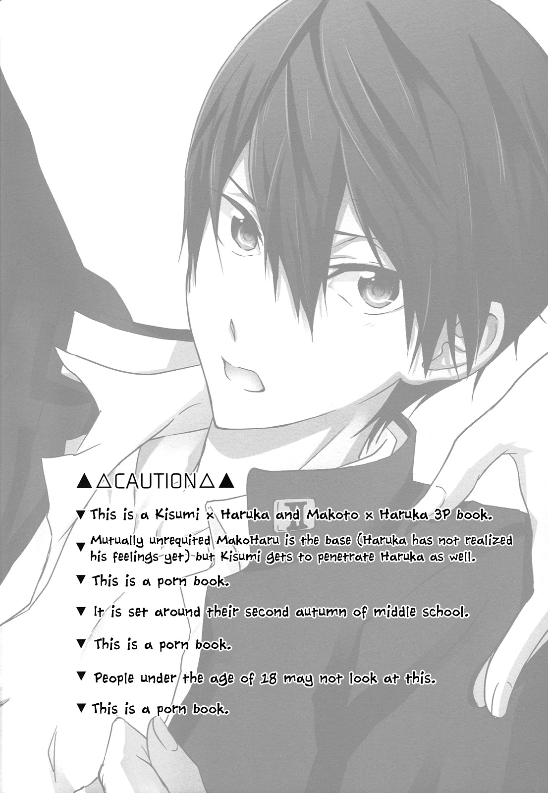 TRIANGLE FUNCTION ver. DT page 3 full