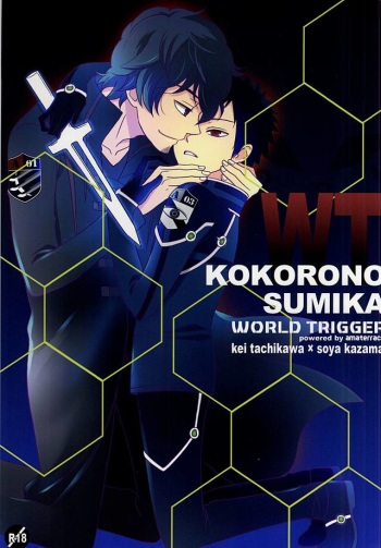KOKORONOSUMIKA cover