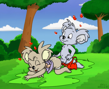 The Adventures of Blinky Bill cover